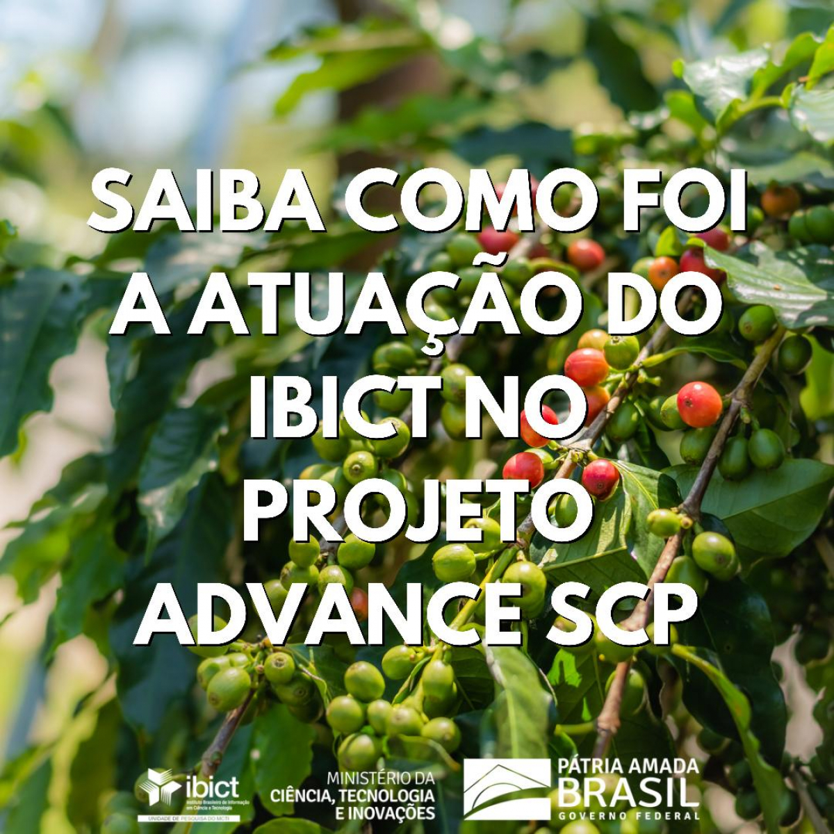 Saiba como foi a atuação do Ibict no projeto Advance SCP