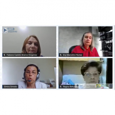 Live do Ibict discutiu a Competência em Informação e Midiática e a certificação no Brasil
