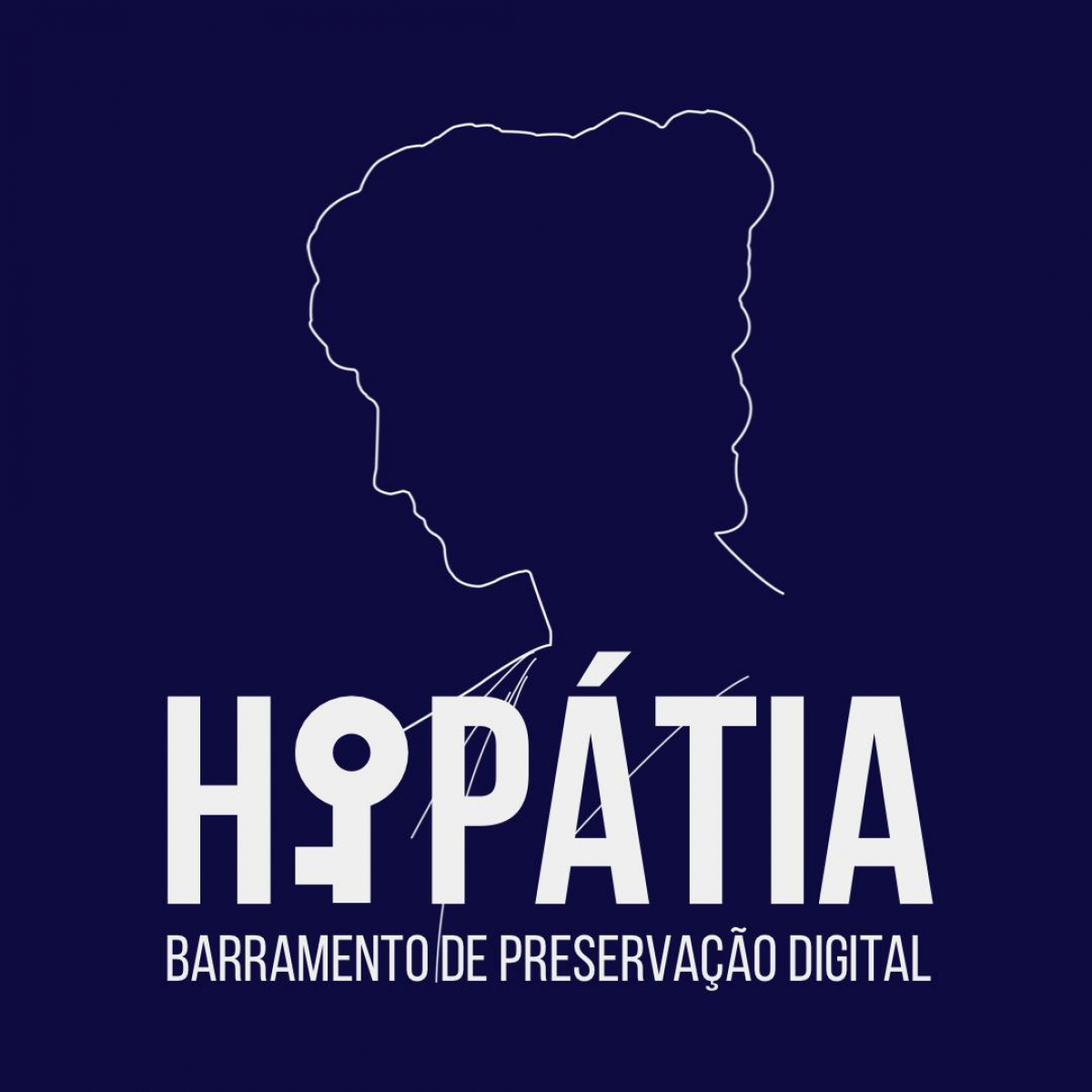 Ibict realiza treinamento sobre o barramento de preservação digital Hipátia