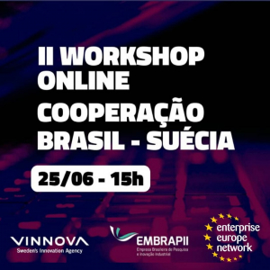 EEN Brasil: workshop online sobre edital Brasil-Suécia acontece nessa quinta-feira