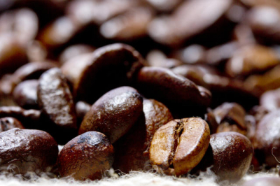 Ibict realiza treinamento básico em certificação ambiental do café para uma economia de baixo carbono